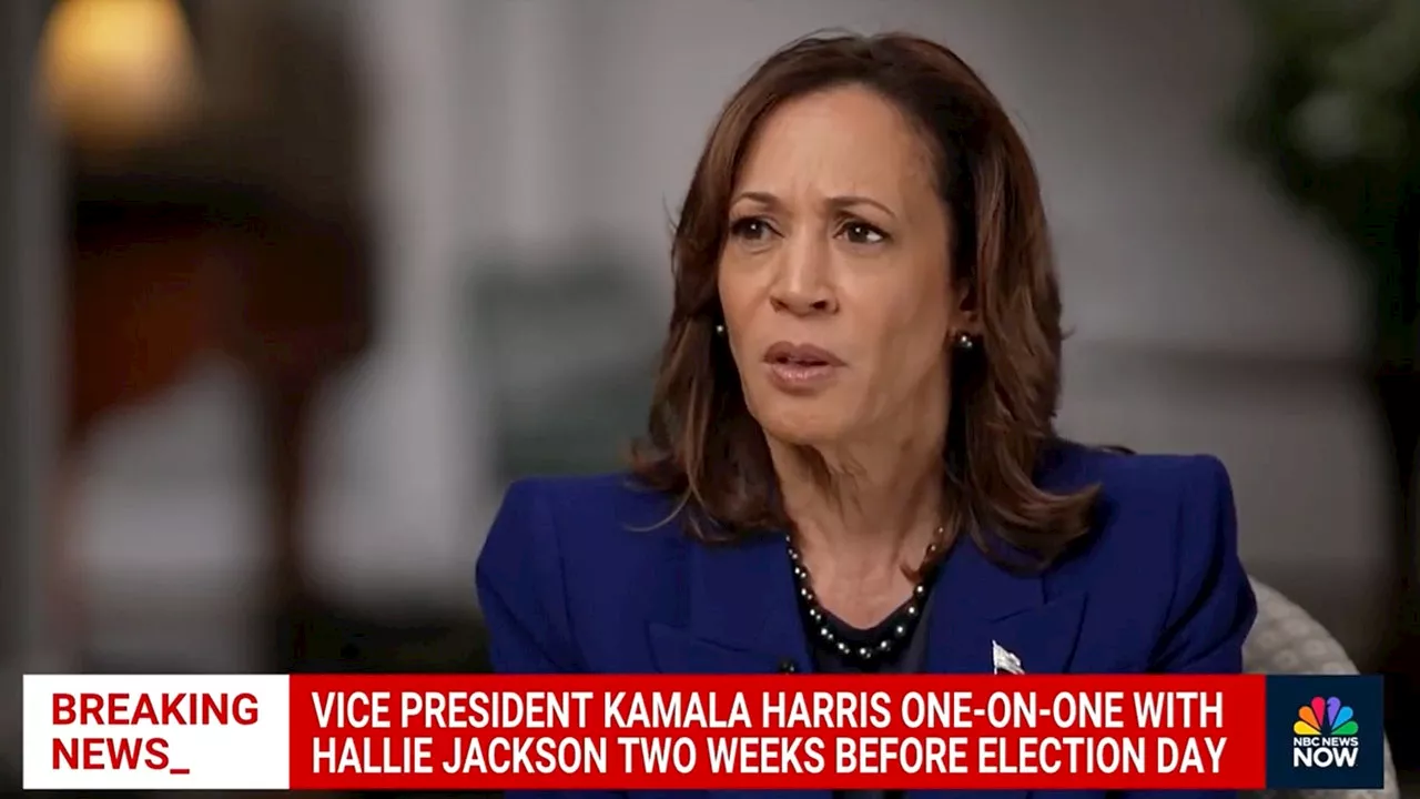 Harris claims she was 'honest with the American people' about Biden's mental acuity: 'Capable in every way'