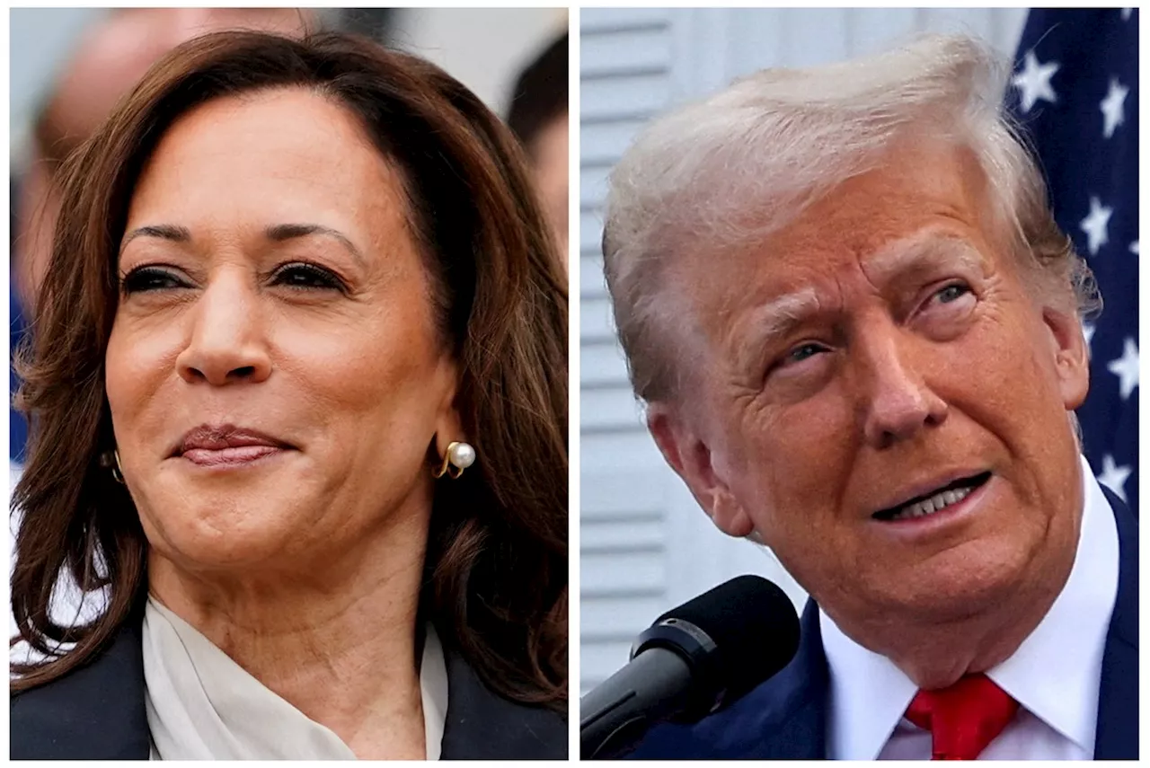 Eleições 2024 nos EUA: Veja como Kamala e Trump estão nas pesquisas