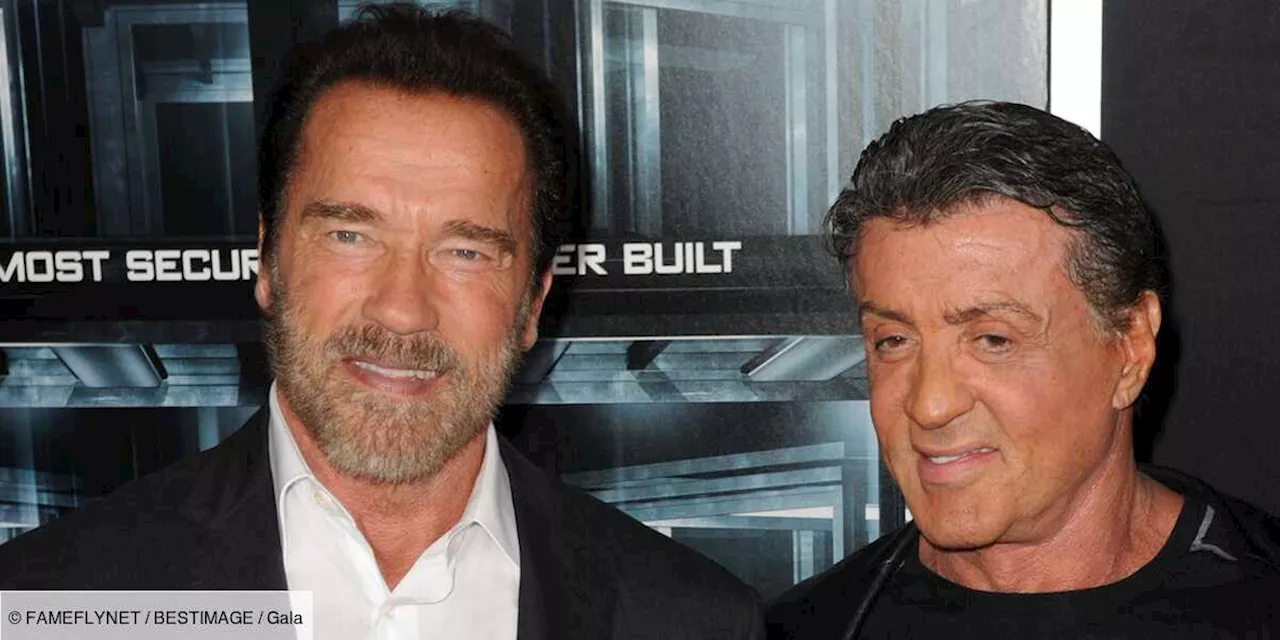 Avant d’être amis, Sylvester Stallone et Arnold Schwarzenegger étaient rivaux : “On se détestait énormément”