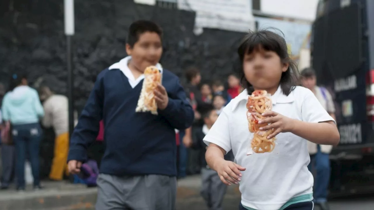 Mario Delgado: SEP capacitará a responsables de cooperativas en escuelas públicas sobre prohibición de comida 'chatarra'