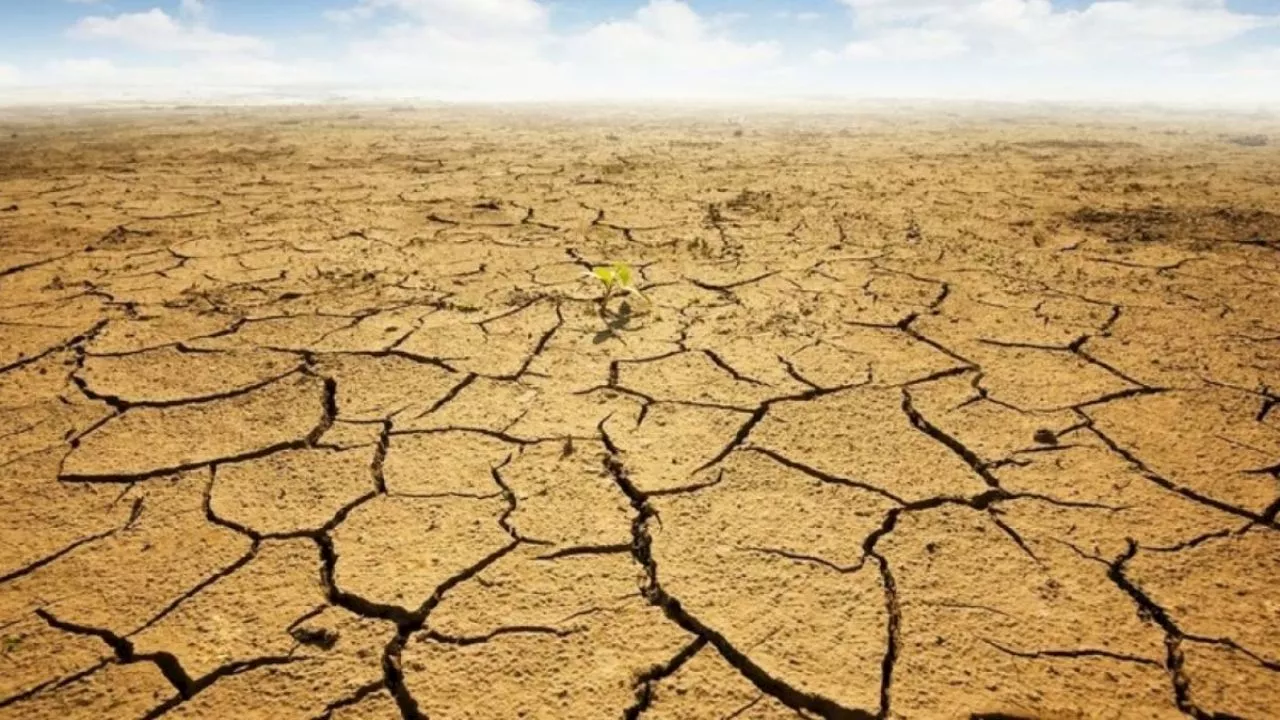 Persiste sequía en México a pesar de las lluvias: UNAM