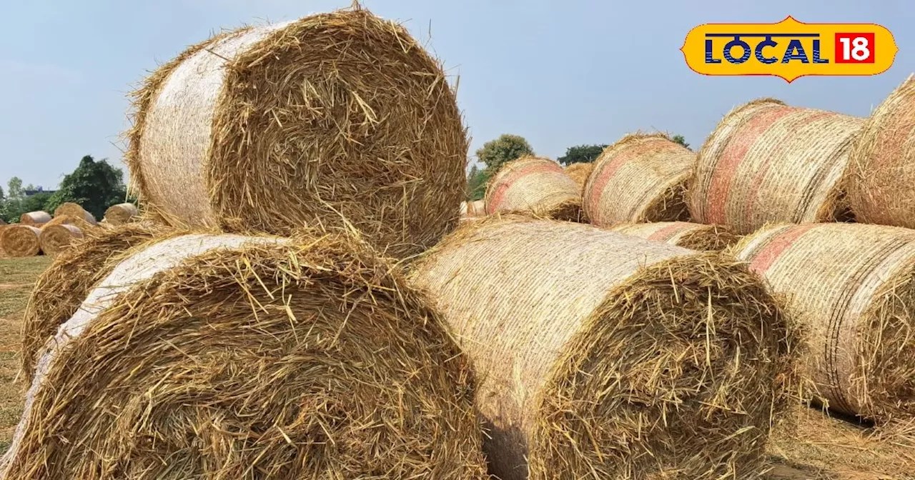 Stubble Burning: इन किसानों को मिली पराली जलाने की समस्या से निजात, धान के इस वेस्ट से बन रही CNG