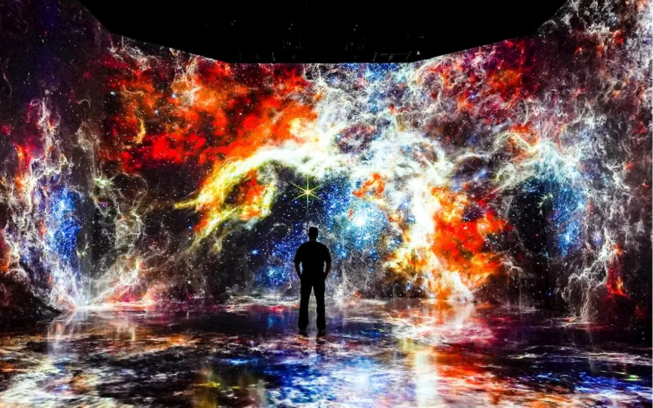 Best Of Houston® 2024: Best Immersive Art Exhibit