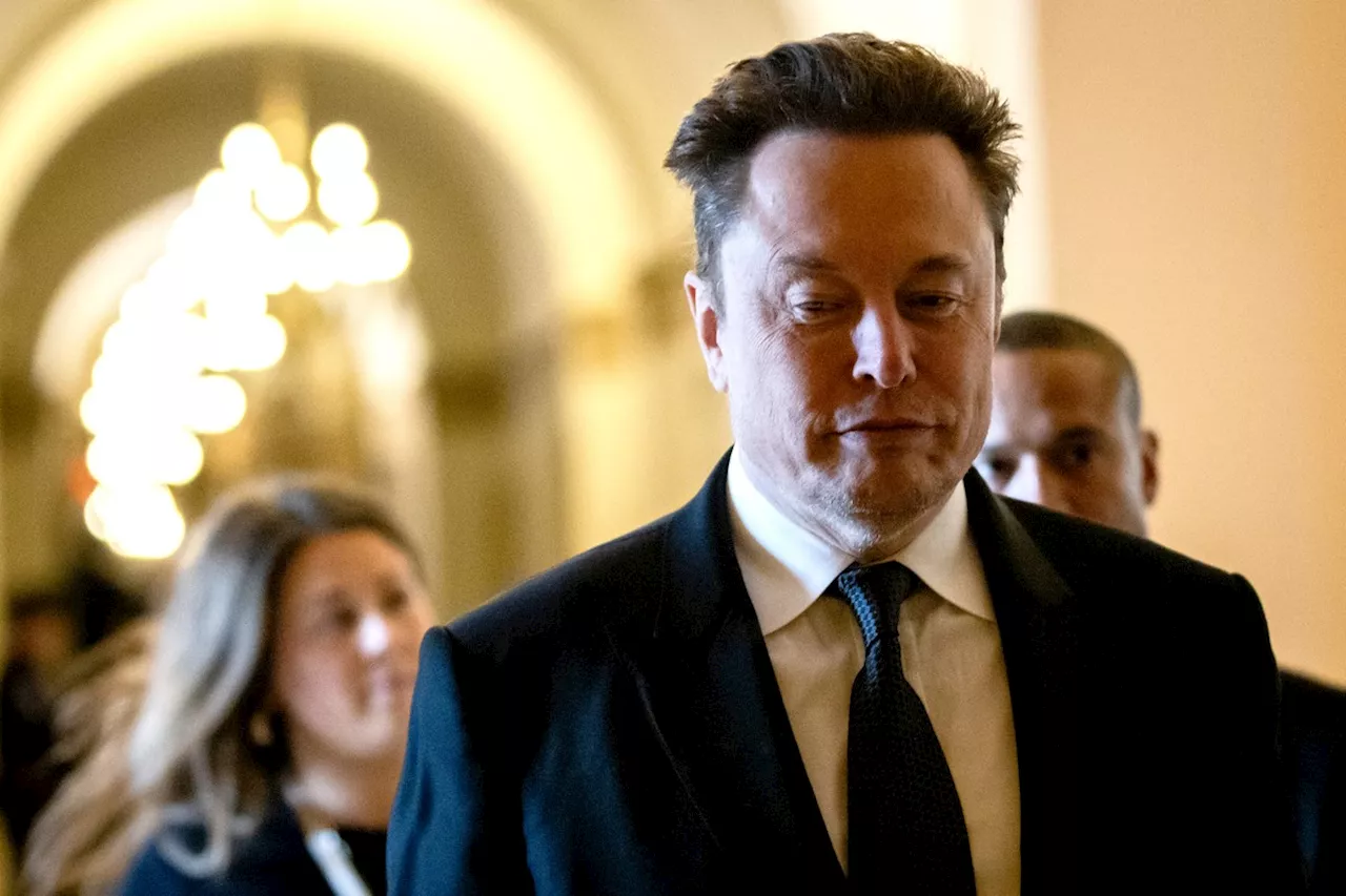 Governo pede esclarecimentos do X, de Elon Musk, sobre nova política para treinar IA