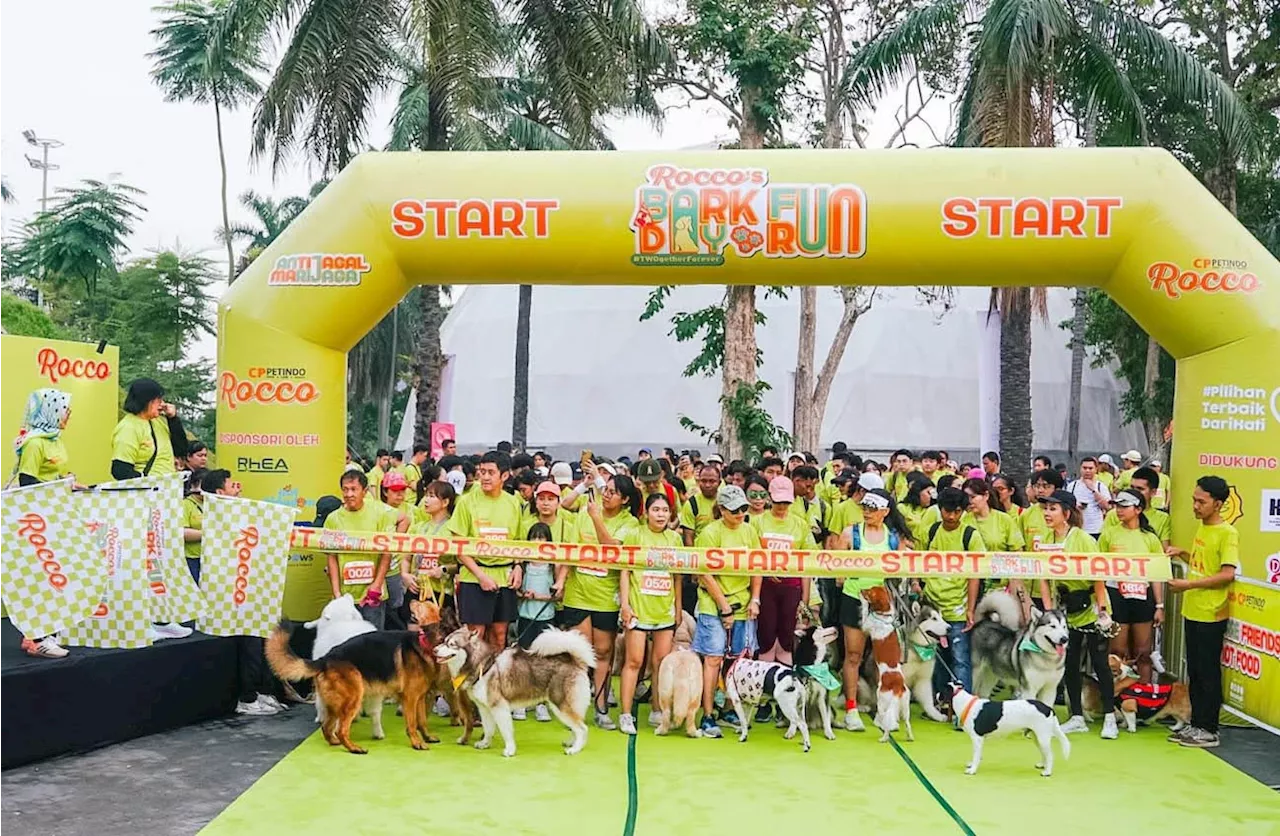 Rocco’s Bark Day Fun Run Virtual Challenge, Lari Bersama 240 Anabul Sambil Berdonasi