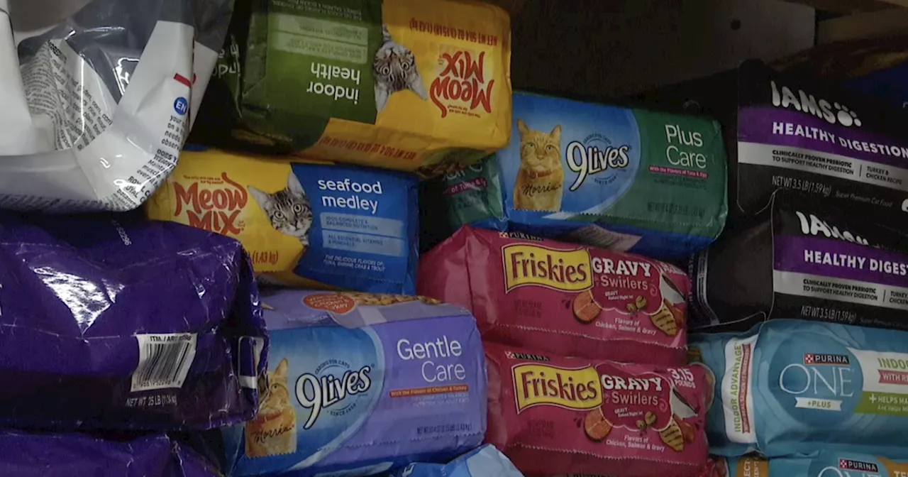 Hermitage Cat Shelter giving out pet food to people in need