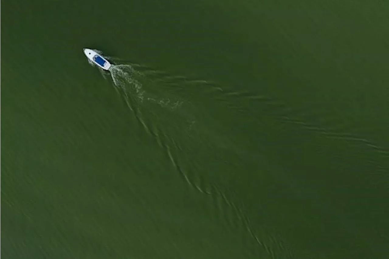 On Lake Erie, getting rid of problem algae starts with giving it less food