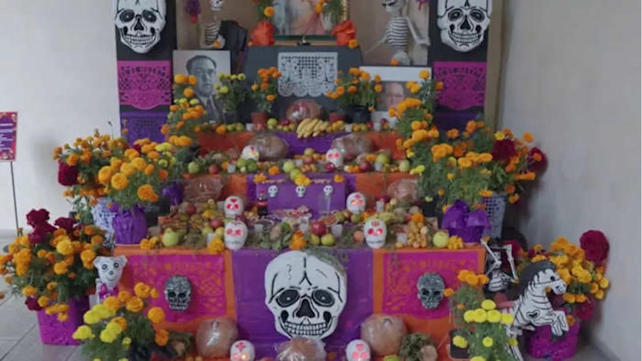 Estudiantes de Edgewood ISD exploran sus raíces con altar del Día de los Muertos