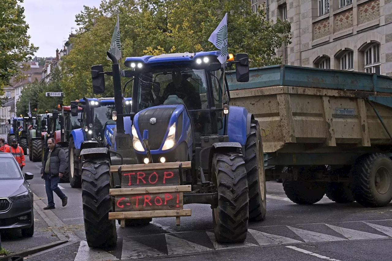 Agriculture : les syndicats appellent à relancer les manifestations « à partir du 15 novembre »