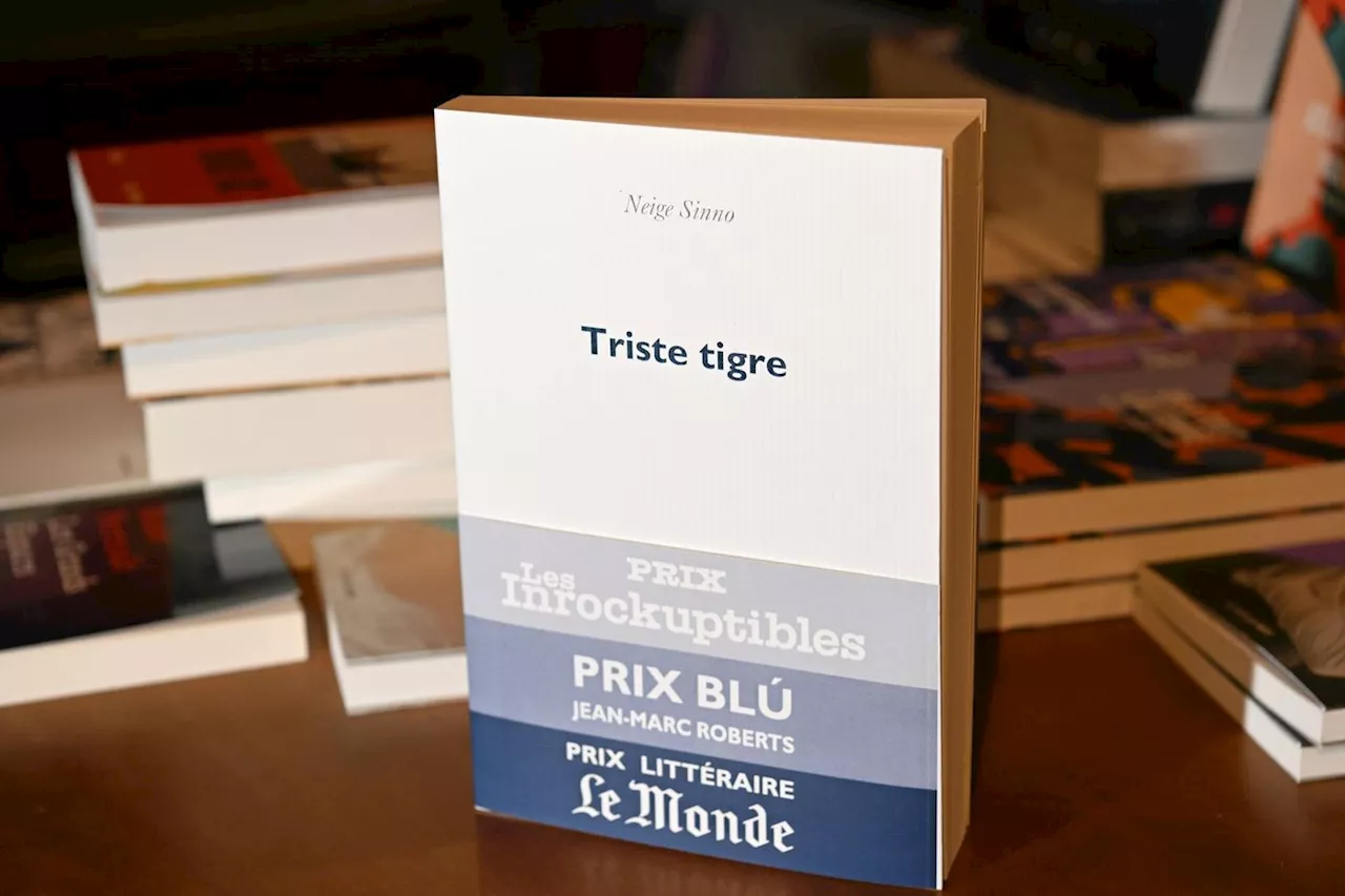 Prix Femina : six finalistes pour succéder à « Triste tigre » de Neige Sinno