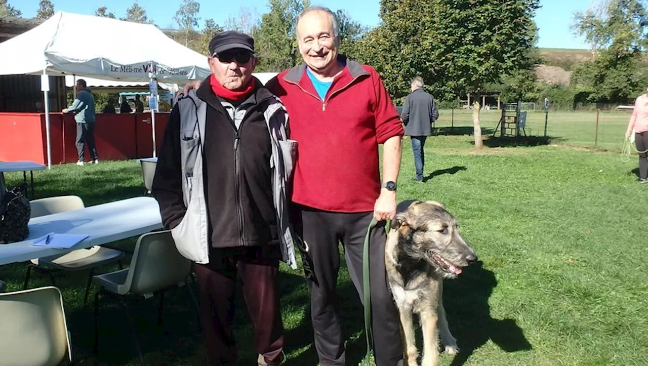 Education canine : une journée festive au club Saint-Roch de Juillan pour la 'semaine du chien'