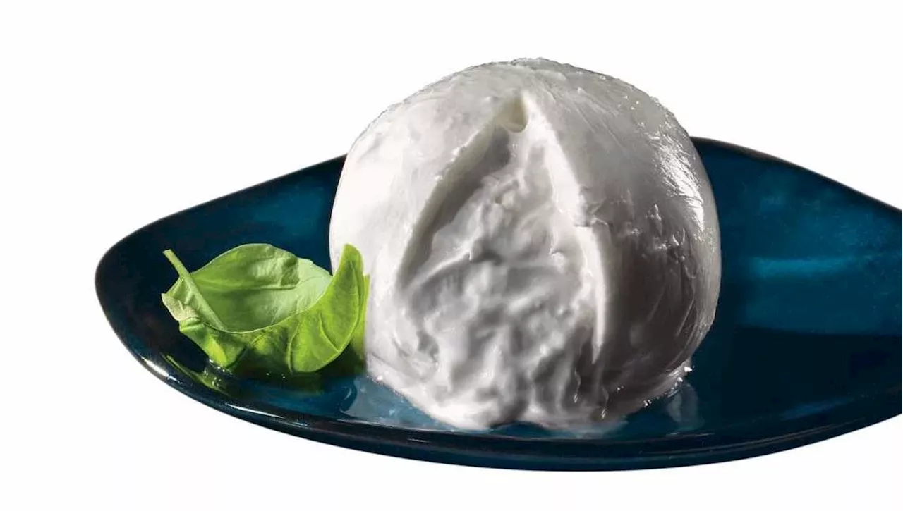 Burrata di bufala, quelle “bolle di latte” da cuore cremoso