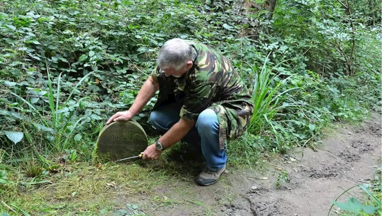 Mentre cammina nel bosco, inciampa su una pietra e fa un’incredibile scoperta legata a un animale dell’Ottoce…