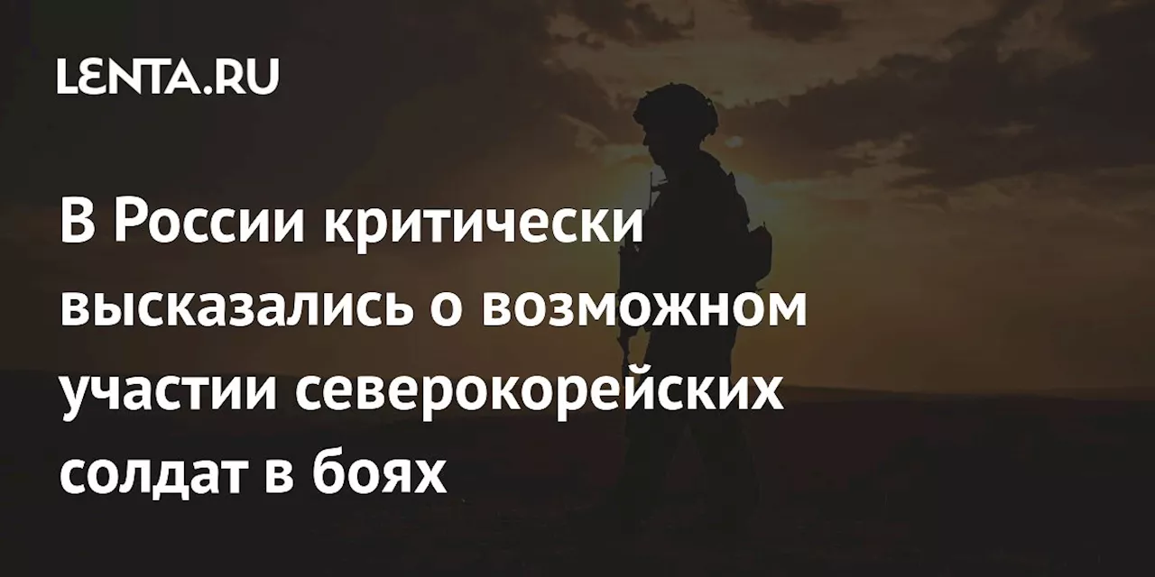 В России критически высказались о возможном участии северокорейских солдат в боях