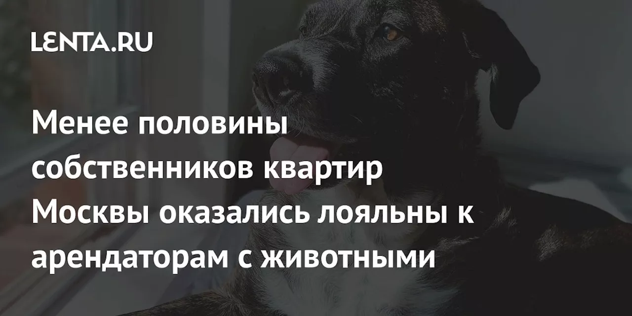 Менее половины собственников квартир Москвы оказались лояльны к арендаторам с животными