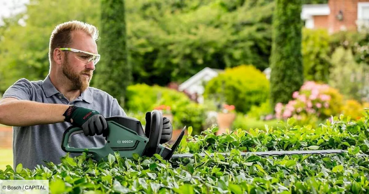 Moins de 75 euros pour ce taille-haie Bosch sans fil, les jardiniers vont apprécier