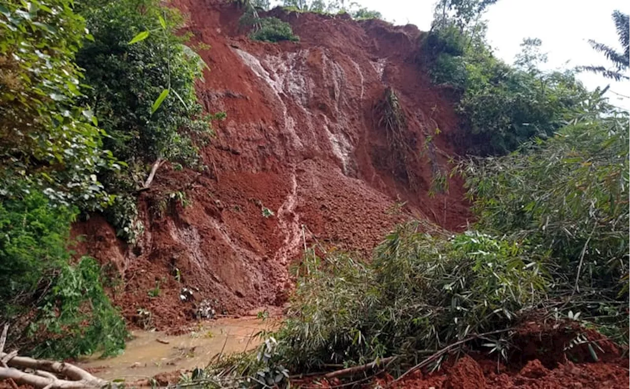 Saluran Air Tertutup Tanah Longsor, Ratusan Ha Lahan Sawah Terancam Kekeringan