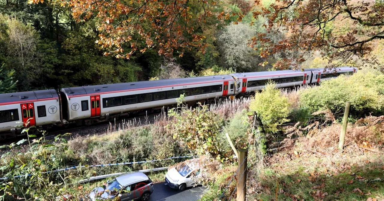 Passenger killed after two trains crashed was man in his 60s