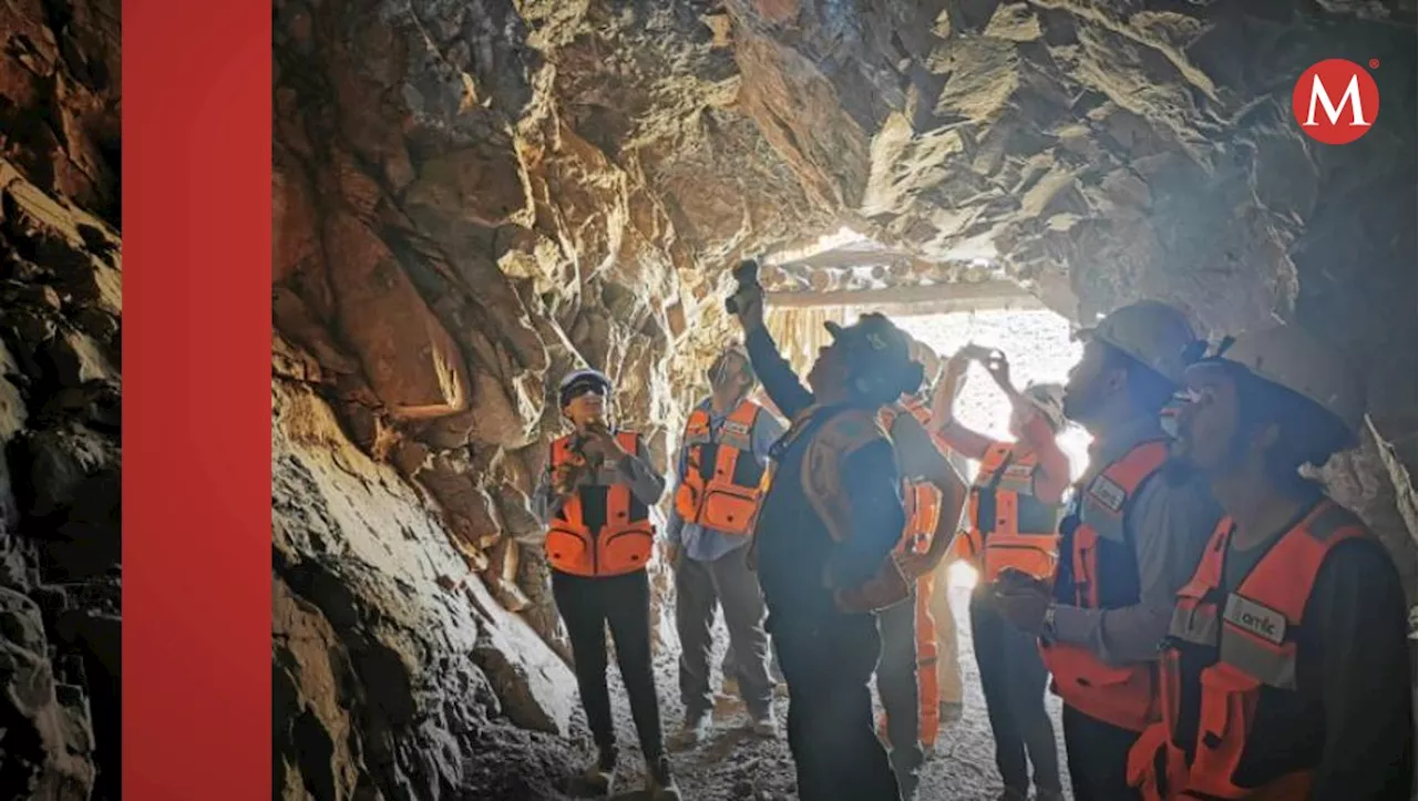 Semarnat anula autorización de mina 'Los Cardones' en La Paz, BCS