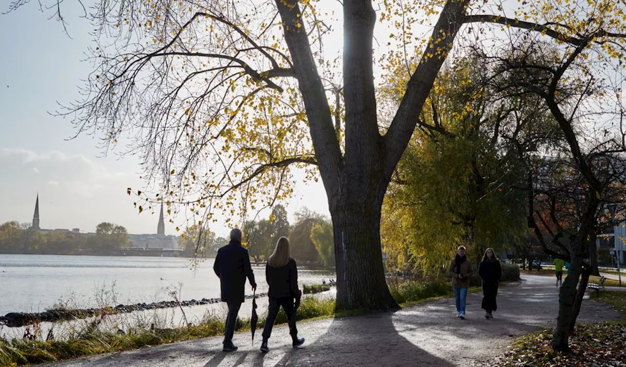 Nebel, Sonne, Wind und Wolken: Oktober verabschiedet sich mit Wetter-Wundertüte