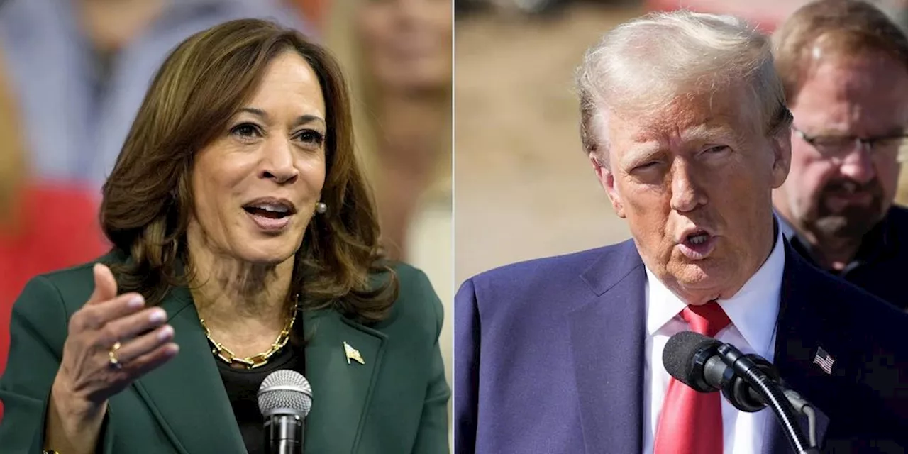 Das könnte Donald Trump und Kamala Harris noch gefährlich werden