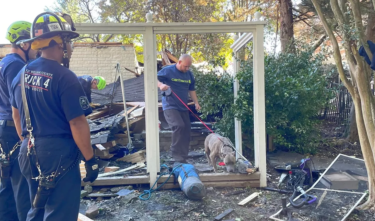 Dog found alive in rubble nearly a week after Virginia home exploded