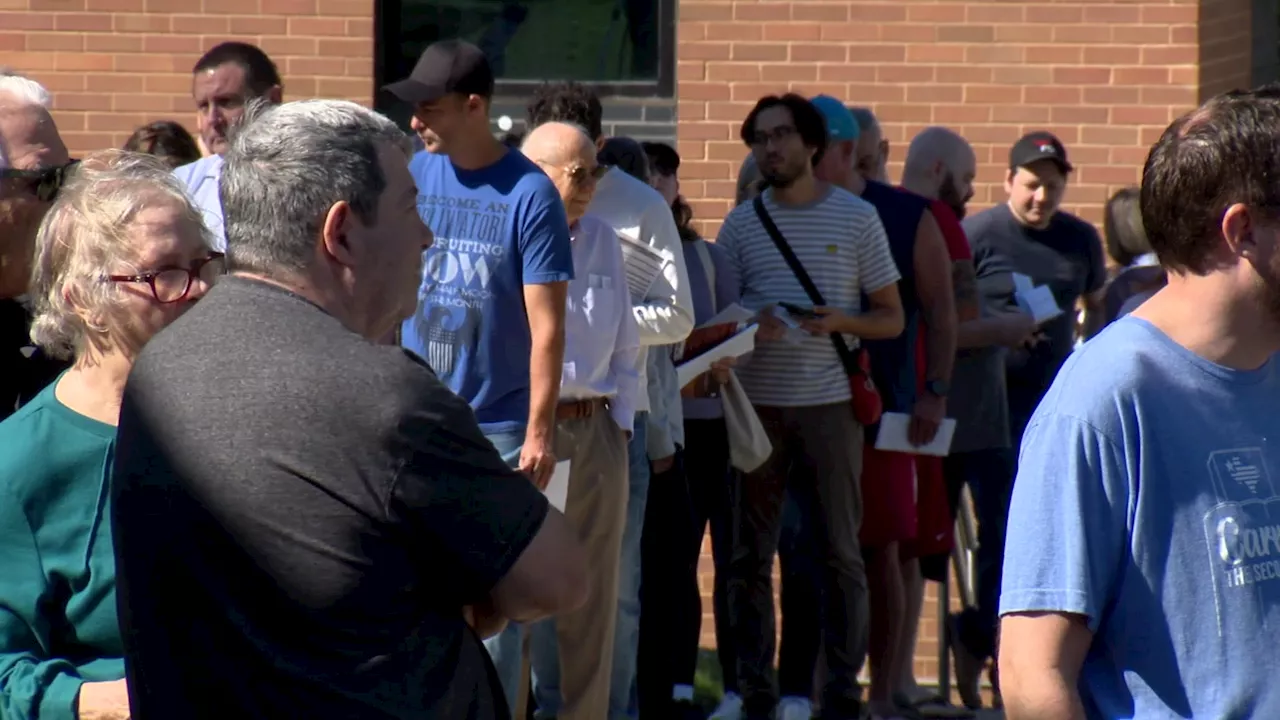 How many people voted each day in Dallas County?