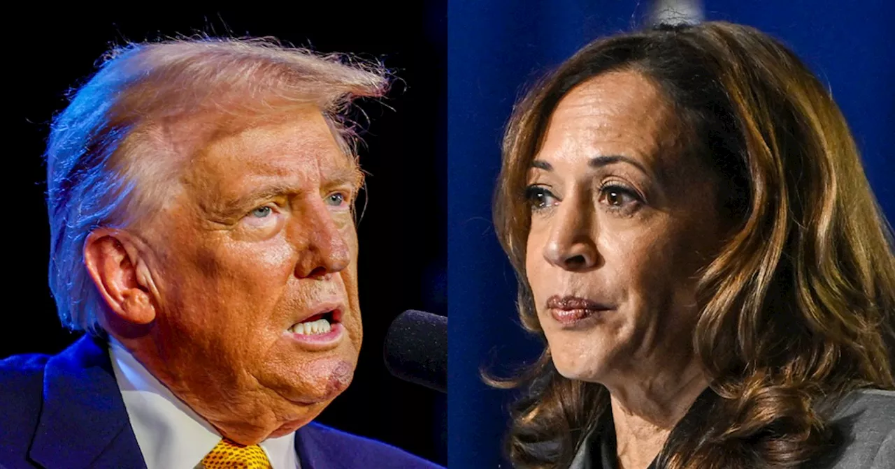 Election 2024 live updates: Harris sits down with NBC; Trump rallies in North Carolina