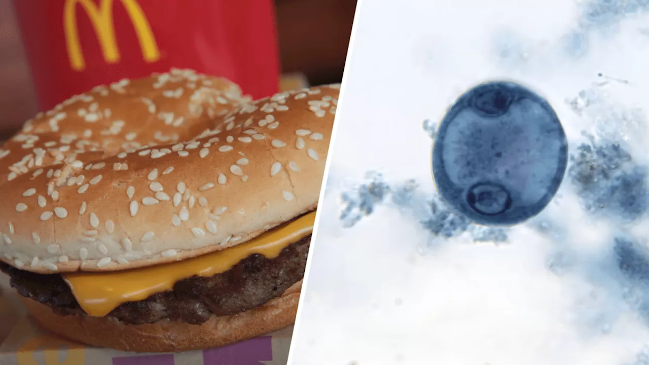 E. coli outbreak linked to McDonald's Quarter Pounders, CDC says