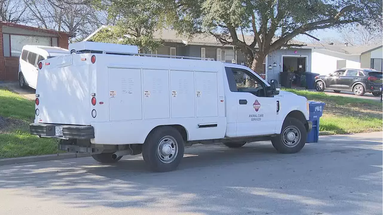 Nearly 400 repeat addresses identified for dog bites and citations in San Antonio