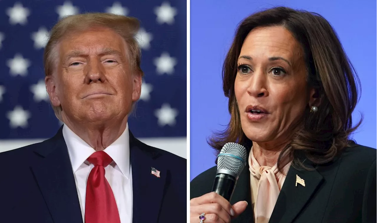 Kamala Harris Goes After Donald Trump's Weakness on Social Security