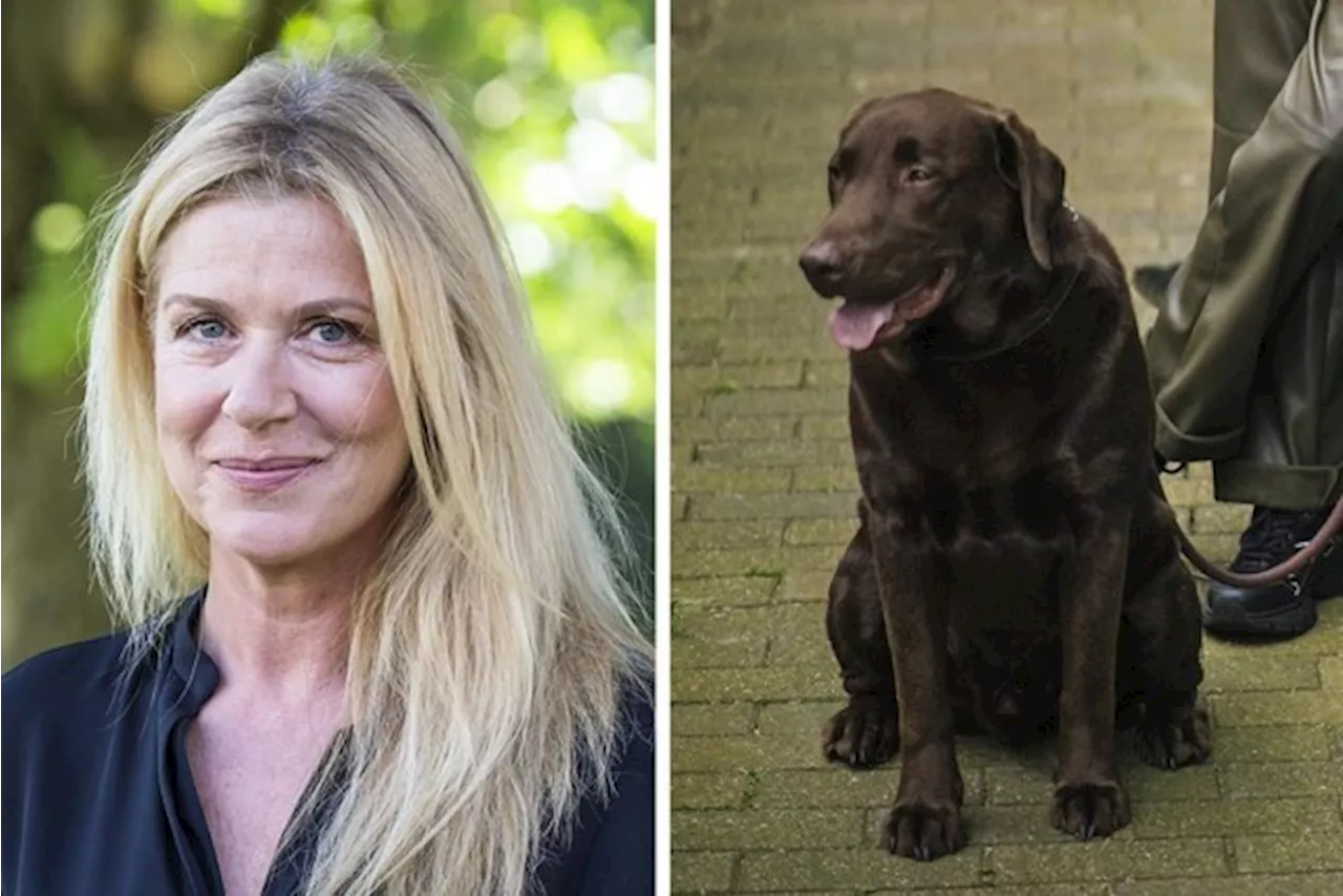 Barbara Sarafian ontdekte borstkanker door haar hond: “Soms moet je je intuïtie vertrouwen”