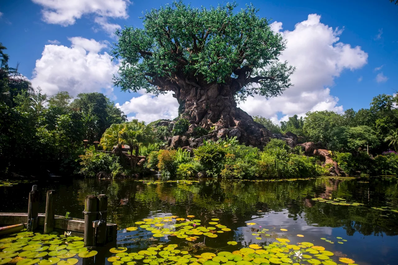 3 fan-favorite Animal Kingdom attractions are shutting down forever in 2025