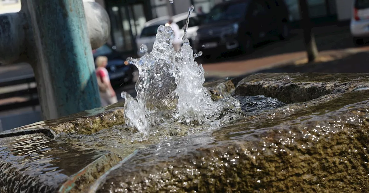 Schäumender Vandalismus am Widukindbrunnen in Enger