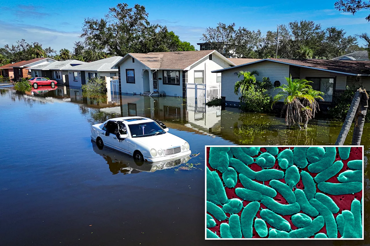 Florida flesh-eating bacteria cases surge to new record in wake of Hurricanes Helene, Milton