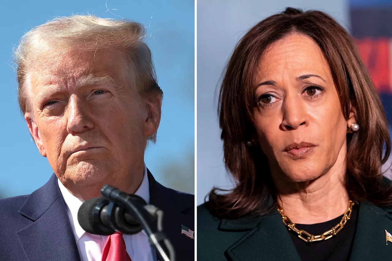 Kamala Harris and Donald Trump remain neck-and-neck in NYC suburbs, Siena poll shows