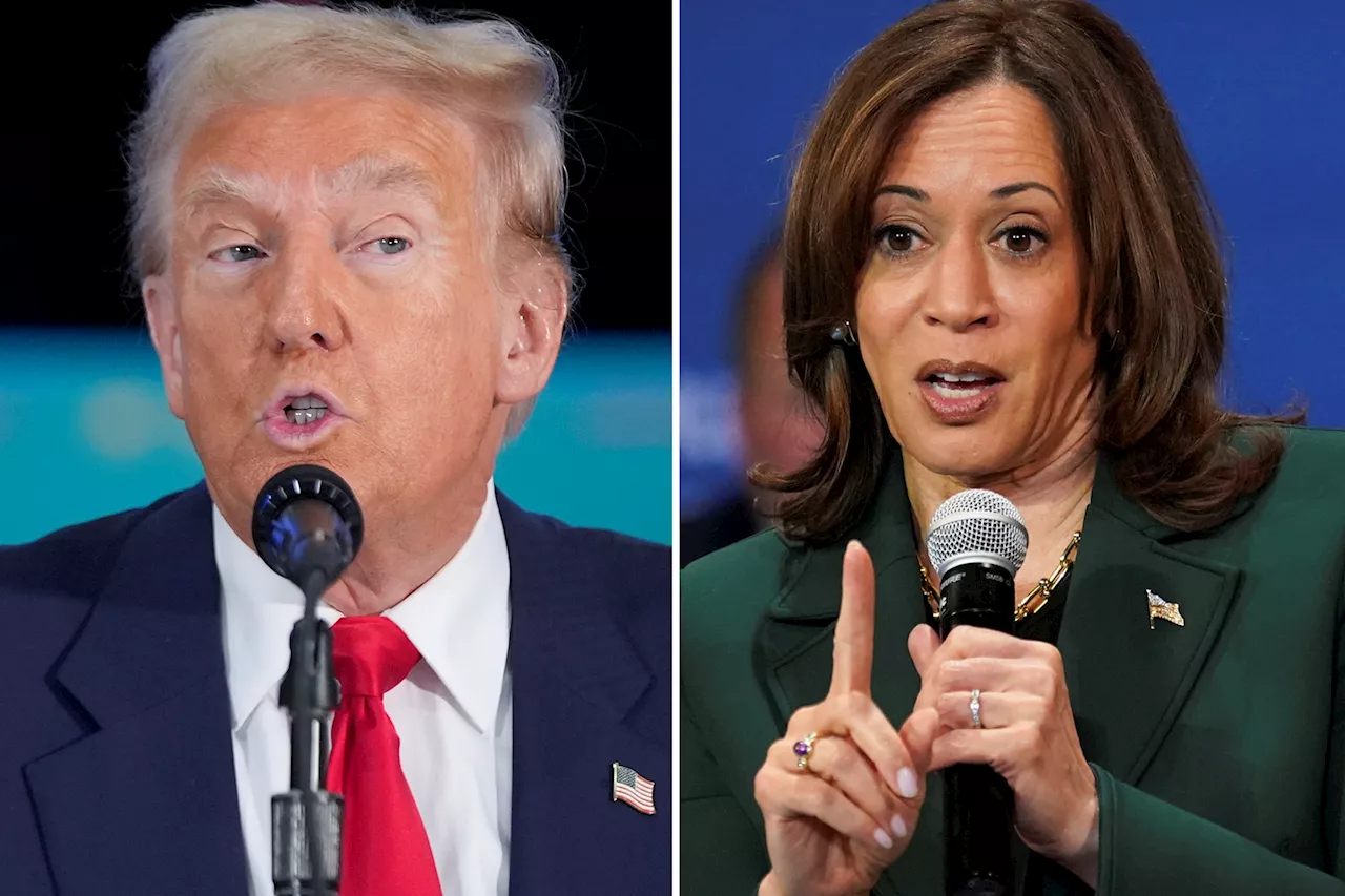 Trump rips 'lazy as hell' Kamala Harris over light schedule two weeks before Election Day