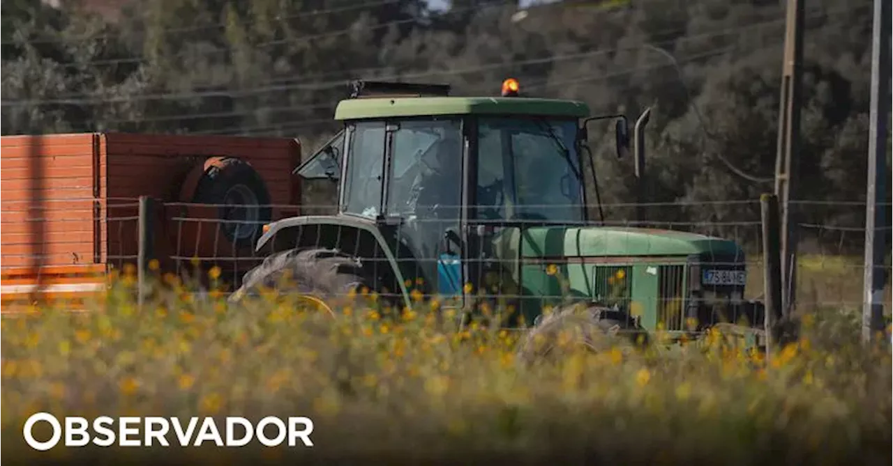 Agência da ONU pede na COP16 mais apoio para pequenos agricultores