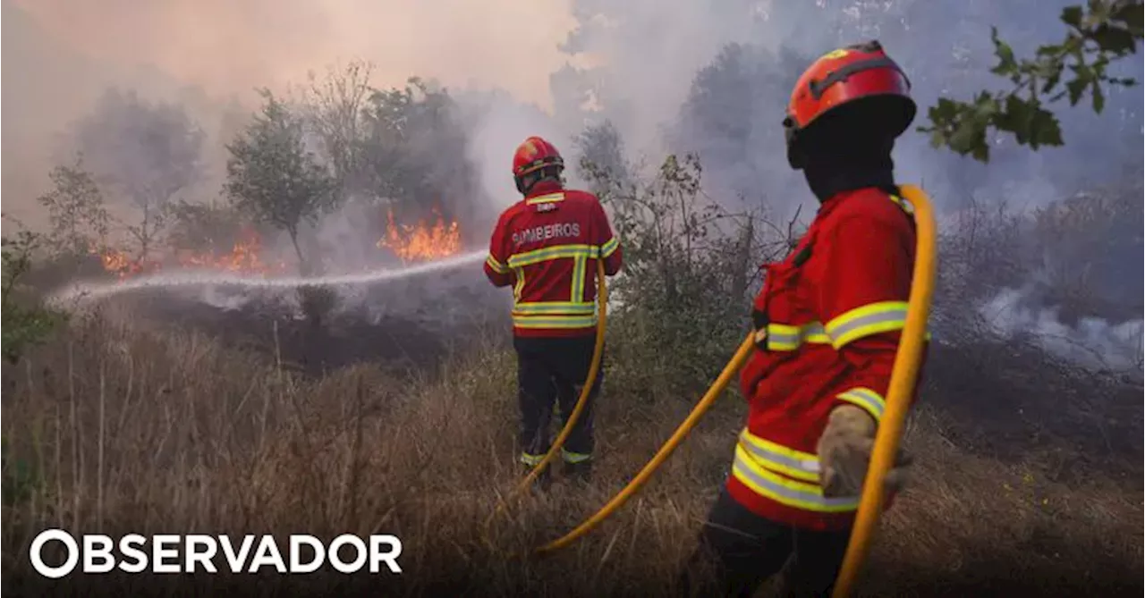 Incêndios: concelho de Nelas com prejuízo superior a 1,5 milhões de euros