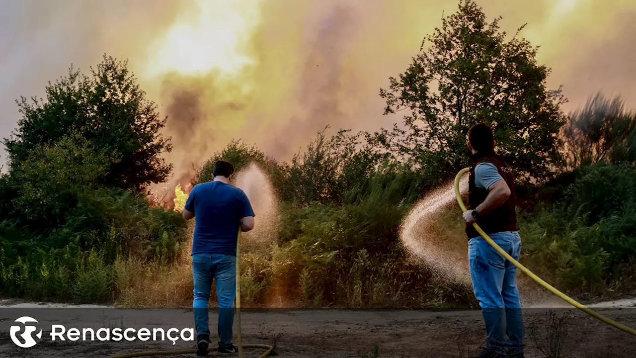 Incêndios. Concelho de Nelas com prejuízo superior a 1,5 milhões de euros