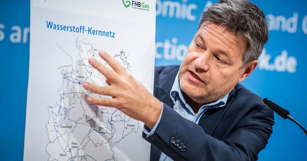 Bau von bundesweitem Wasserstoff-Kernnetz genehmigt