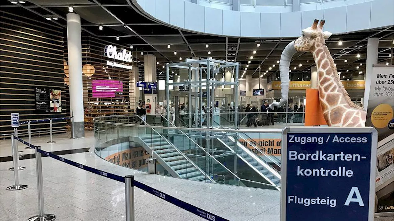 Flughafen Düsseldorf - Tipps zu Parken, Check-in und Ankunft