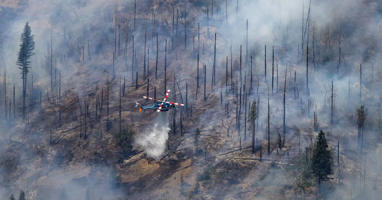 Klimakrise: Wie der Klimawandel Waldbrände begünstigt - und der Gesundheit schadet