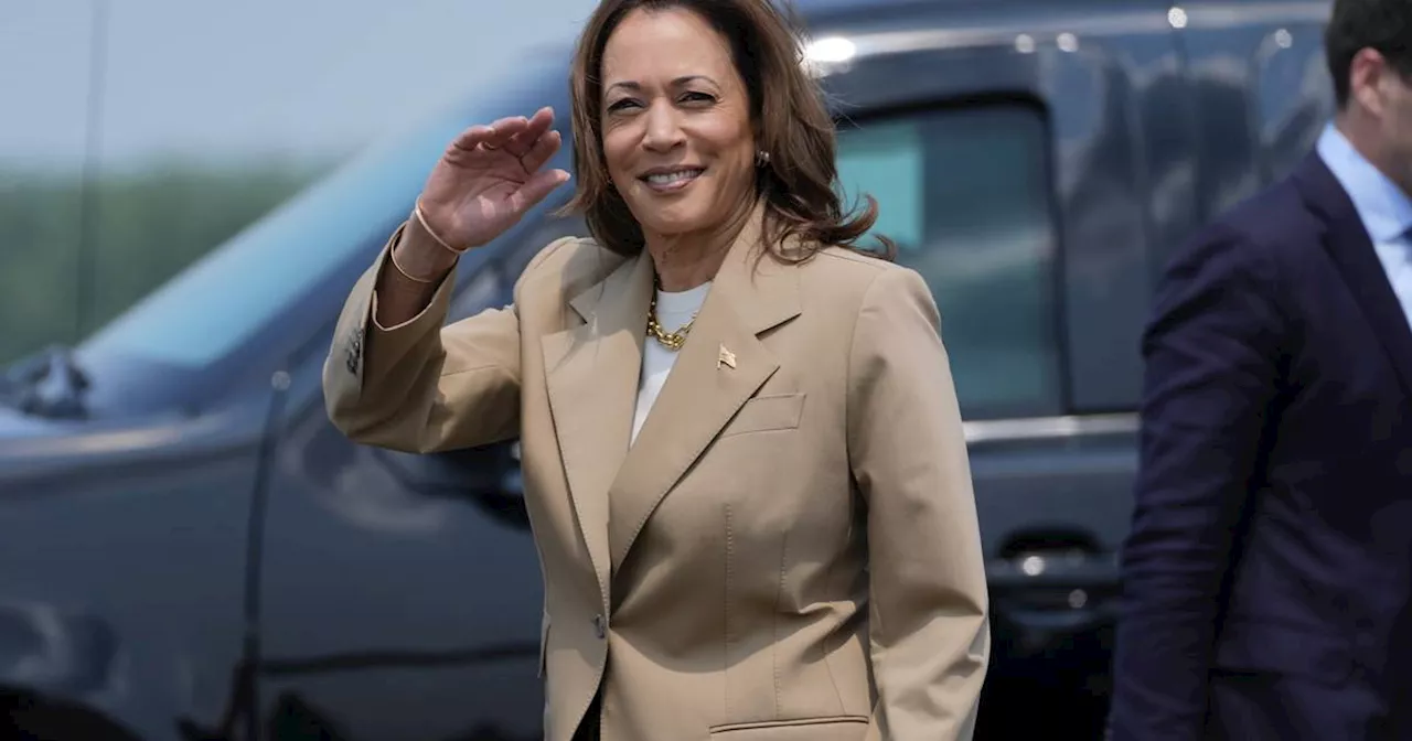 US-Wahl 2024: So viele Deutsche würden Kamala Harris wählen