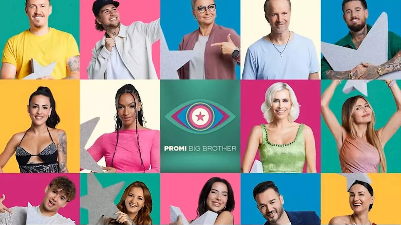 Promi Big Brother 2024: Sieg! Leyla Lahouar Sahnt Im Finale Nicht Nur ...