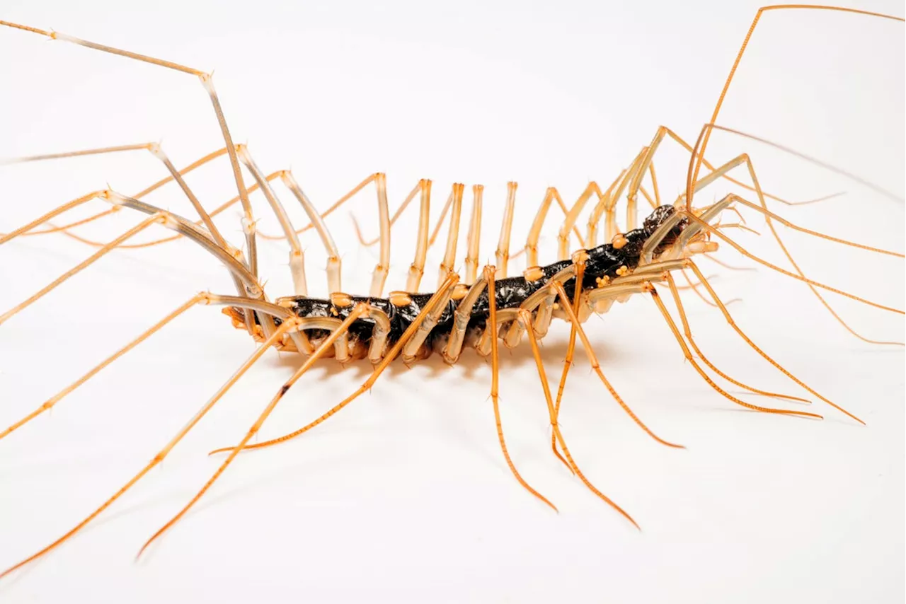Jeff VanderMeer on How Scientific Uncertainty Inspires His Weird Fiction