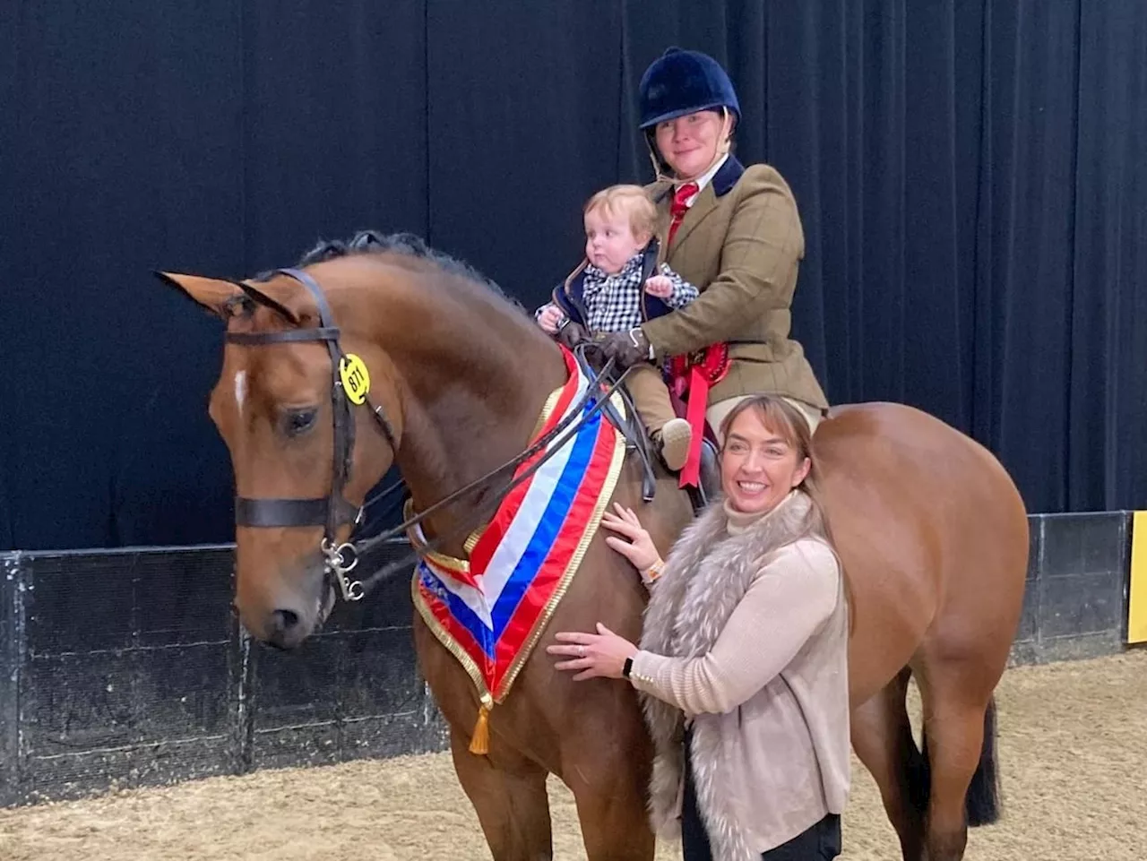 Shropshire farmer wins 'SEIB Search for a Star' at Horse of the Year Show