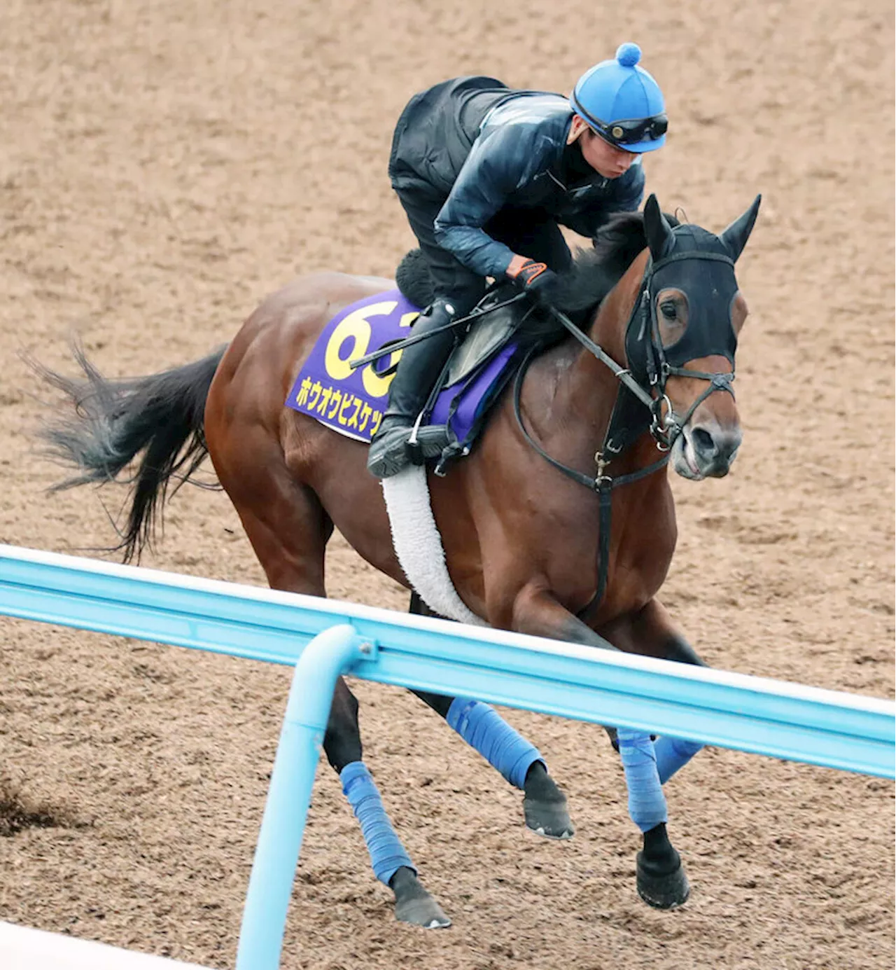 【天皇賞・秋】岩田親子奥村武厩舎、２頭出しで頂点目指す（2024年10月23日）｜BIGLOBEニュース