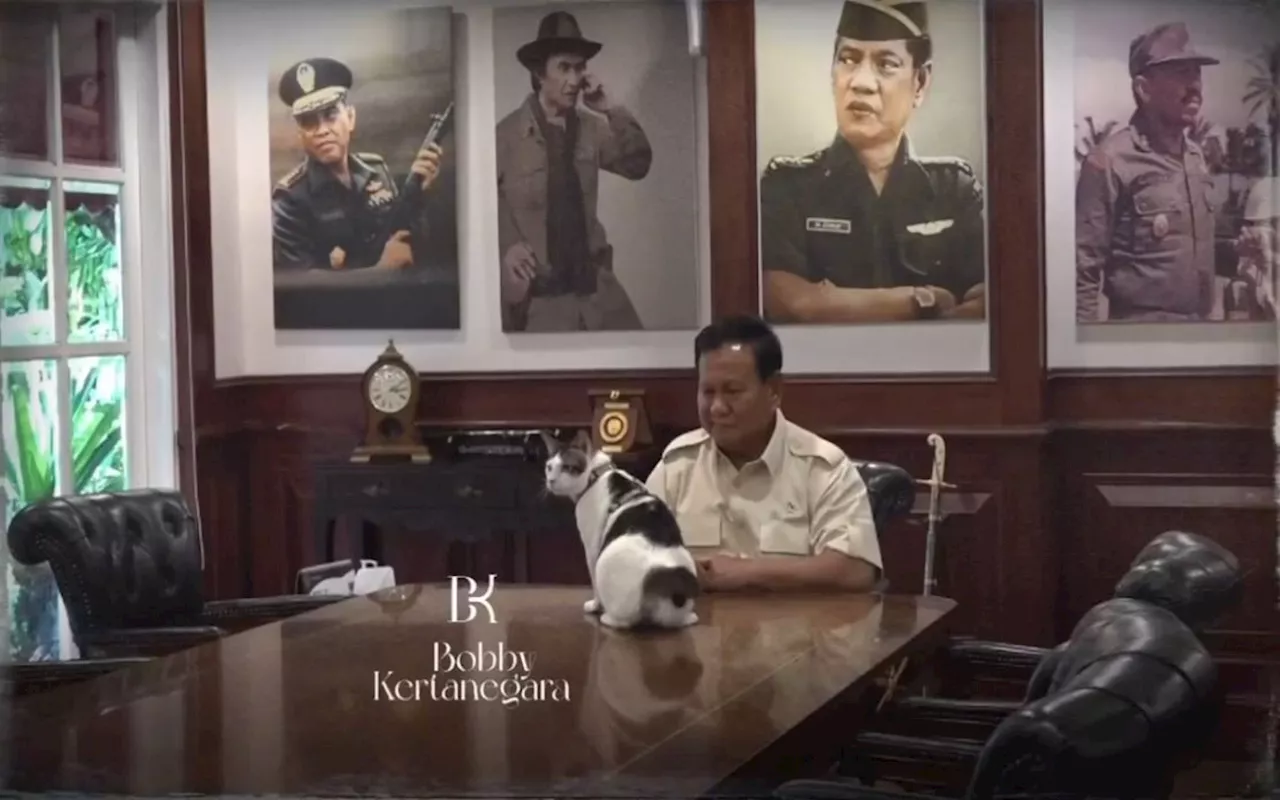 Bobby Kertanegara, Indonesia's new 'First Cat' moves into the presidential palace