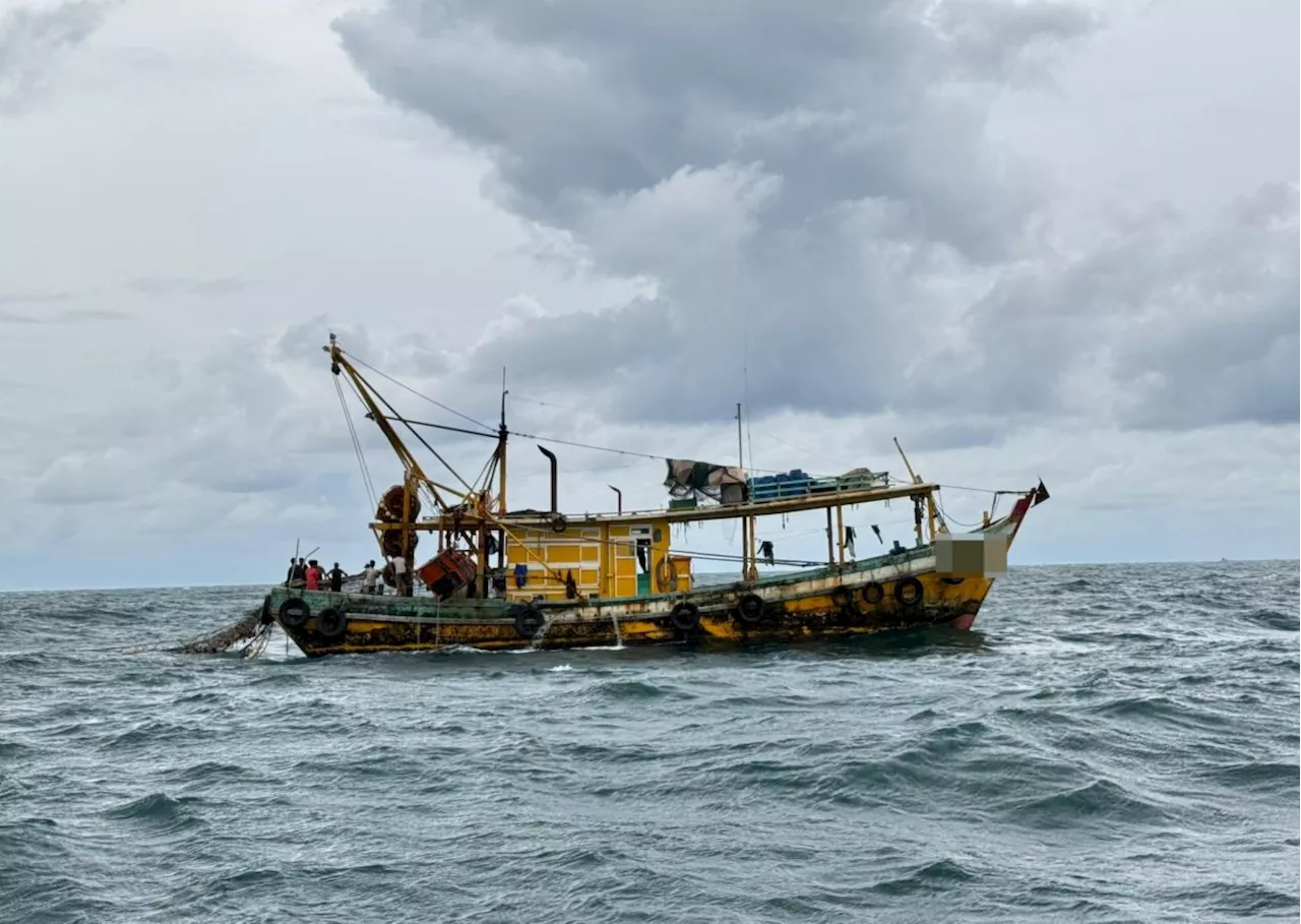 MMEA seizes tugboat carrying 700kg of fish in Pulau Usukan waters